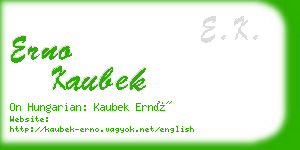 erno kaubek business card